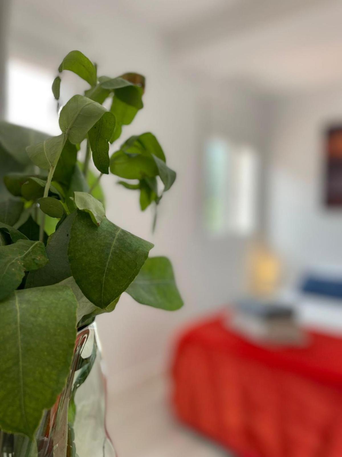 Villa Felicidad Vigo Zewnętrze zdjęcie